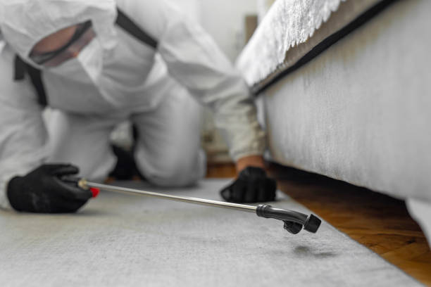 Professional Bed Bug Control technician working in Princeville, HI