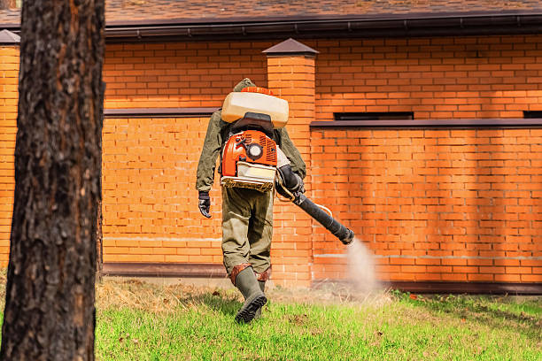 Trusted Termite Control service in Princeville, HI - Nex Pest Control
